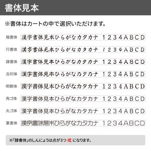 シャチハタ ビジネス用非複写タイプA型（印面サイズ：13×27mm）